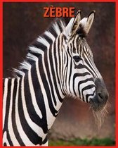 Zebre