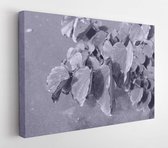 Onlinecanvas - Schilderij - Tropical Leaves Background Art Horizontal Horizontal - Multicolor - 75 X 115 Cm