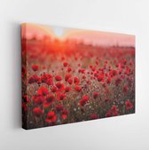 Beautiful field of red poppies in the sunset light. Russia, Crimea - Modern Art Canvas - Horizontal - 527018350 - 80*60 Horizontal