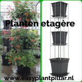 klimplantrek Plantensteun Draadrek  Etagère  Etagèrerek 1250 mm hoog met luxe kweekpotten en waterschotel.
