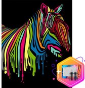 Pcasso ® Zebra Zwart Multicolor – Schilderen Op Nummer –  Inclusief 3 Ergonomische Penselen - Schilderen Op Nummer Dieren - Schilderen Op Nummer Volwassenen & Kinderen – Kleuren Op Nummer - P
