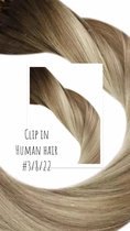 Clip In Extensions #3/8/22 Balayage bruin blond ash koel Human hair