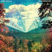 Innerspeaker (LP) (10th Anniversary | Limited Edition)