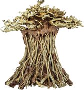 Superfish Bonsai Mushroom - Aquarium - Ornament - Small