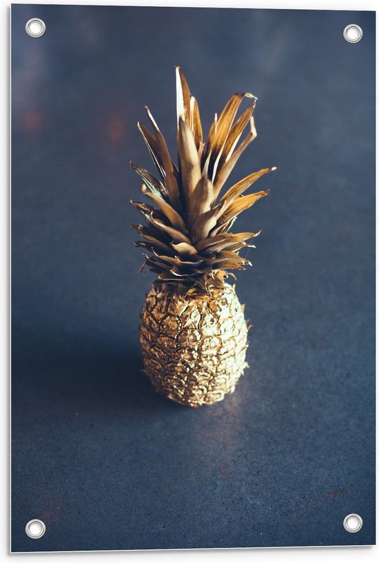 Tuinposter – Miniatuurbeeldje van Gouden Ananas - 40x60cm Foto op Tuinposter  (wanddecoratie voor buiten en binnen)