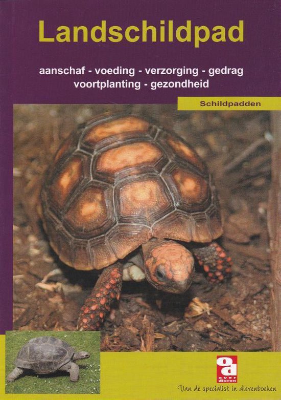 Cover van het boek 'De landschildpad' van Sandra Hermans