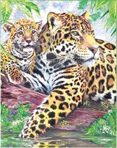 Kleuren op nummer  - Jaguar met welpje 22.23x29.85cm