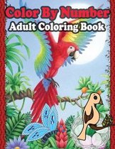 Color By Number Adult Coloring Book