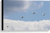 Canvas  - Vogels in de Lucht met Wolken - 60x40cm Foto op Canvas Schilderij (Wanddecoratie op Canvas)