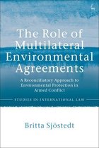 The Role of Multilateral Environmental Agreements