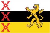 Vlag gemeente Someren 150x225 cm