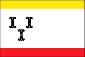 Vlag gemeente Vianen 70x100 cm