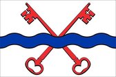 Vlag gemeente Leiderdorp 150x225 cm