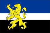 Vlag gemeente Hilvarenbeek 70x100 cm