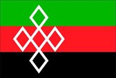 Vlag gemeente Rucphen 70x100 cm