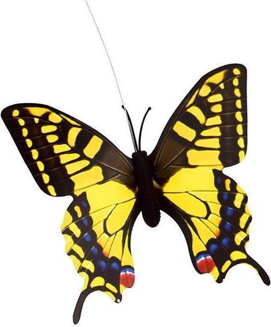 Vlinder Zon Fluttering van Vlinder Zon — afbeelding 4