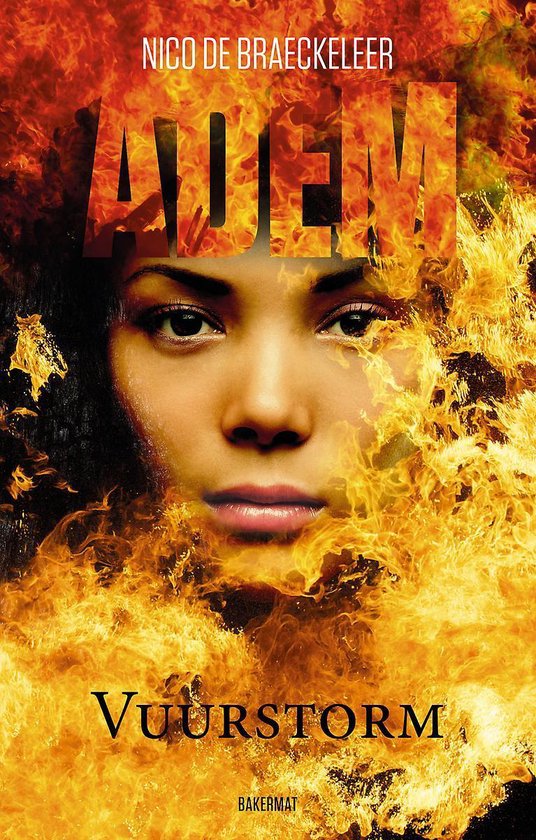 Vuurstorm - cover