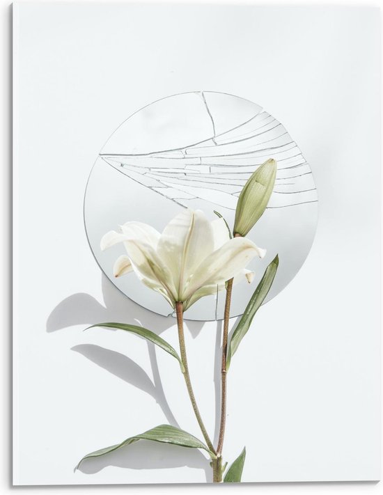 Acrylglas - Wit Bloemetje bij Witte Muur - 30x40cm Foto op Acrylglas (Met Ophangsysteem)
