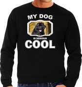 Newfoundlander  honden trui / sweater my dog is serious cool zwart - heren - Newfoundlanders liefhebber cadeau sweaters M