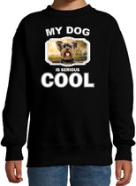 Yorkshire terrier honden trui / sweater my dog is serious cool zwart - kinderen - Yorkshire terriers liefhebber cadeau sweaters 9-11 jaar (134/146)