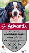 Bayer Advantix Vlooien & Teken Pipetten - Hond 40+ kg - 6 stuks
