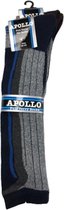 Apollo Skisokken Maat 40-46 - Strepen - Blauw - Geel/groen/Bruin- Zwart - Grijs - 2 paar