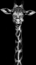 A Giraf Tale- Kristal Helder Galerie kwaliteit Plexiglas 5mm.- Blind Aluminium Ophang-frame- Fotokunst- luxe wanddecoratie- Akoestisch en UV Werend- inclusief verzending