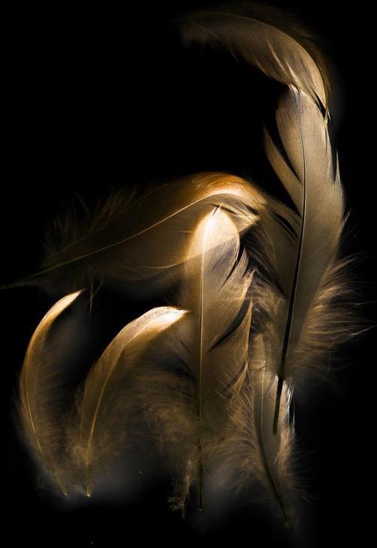 Gold Feathers- Kristal Helder Galerie kwaliteit Plexiglas 5mm. - Blind Aluminium Ophangframe - Luxe wanddecoratie - Fotokunst - professioneel verpakt en gratis bezorgd