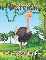 Ostrich Coloring Book for Teens