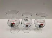 2x 25cl warsteiner luxe voetglas bierglazen bierglas voetglazen