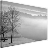 Schilderij Mistig meer, 2 maten, zwart-wit, Premium print