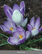 Crocus