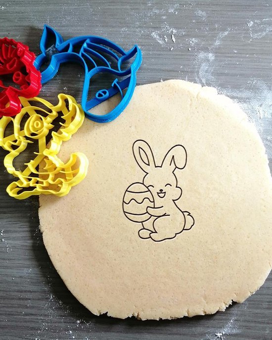 Moule à biscuits de Pâques en relief en forme de lapin œuf biscuit outil de  cuisson en plastique moule à biscuits pour Pâques outils de cuisson moule à  biscuits de Pâques 