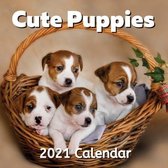 Cute Puppies 2021 Calendar