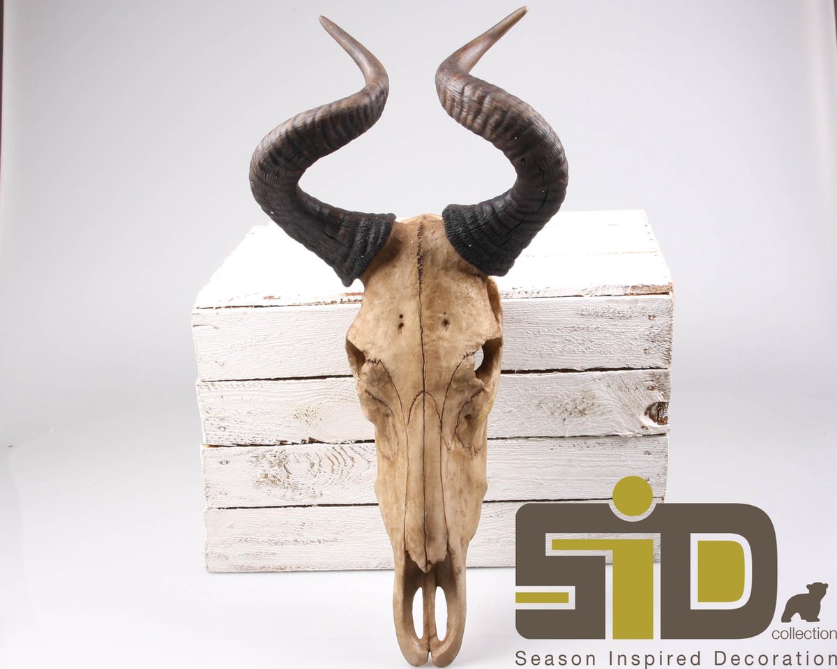 SID SKULL WANDHANGER 31X25X61 CM