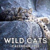 Wild Cats