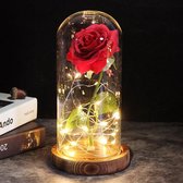 Beauty and the Beast Silk Rose in Glas Dome Rose Artificial Rose Valentine - Cadeau pour femme - Petite amie - Maman - Grand-mère - Saint Valentin - La Belle et la Bête - Verres - Rouge - 22CM