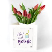 Bloomincard Tulip - Nieuwe woning - bloemen en boeketten - Verse Tulpen met unieke vaas - Brievenbusbloemen - Veel geluk met Tulpen en speciale kaart die je om kunt toveren tot vaa