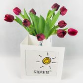 Bloomincard Tulip - Sterkte - bloemen en boeketten - Verse Tulpen met unieke vaas - Brievenbusbloemen - Sterkte wensen met Tulpen en speciale kaart die je om kunt toveren tot vaas