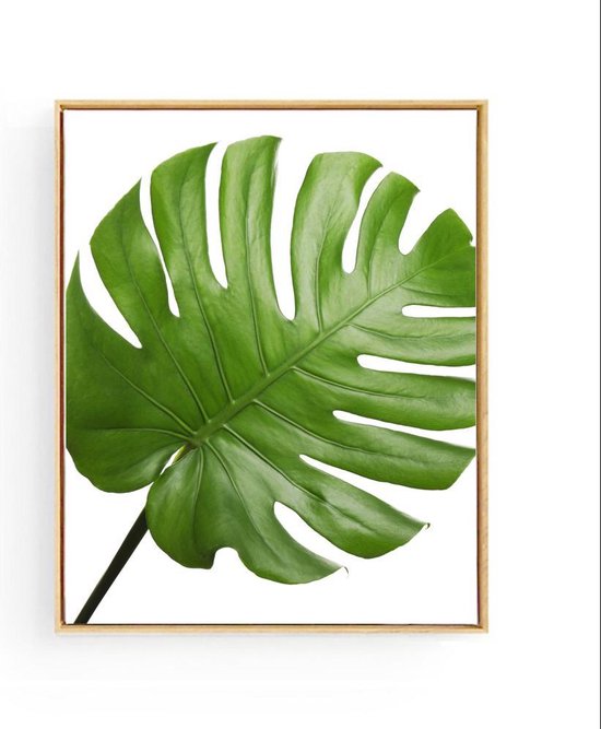 Poster Botanisch Tropisch Blad Links - 70x50cm - Planten - Muurdecoratie
