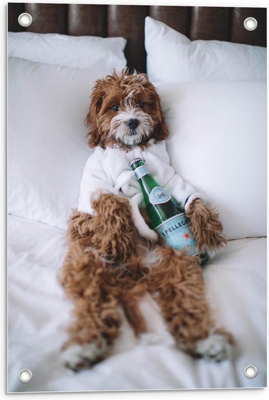 Tuinposter – Hond met Fles op Bed - 40x60cm Foto op Tuinposter  (wanddecoratie voor buiten en binnen)
