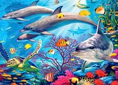 Diamond Painting - Dolfijnen - Canvas 65x50cm