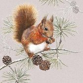 Ambiente Squirrel In Winter papieren servetten