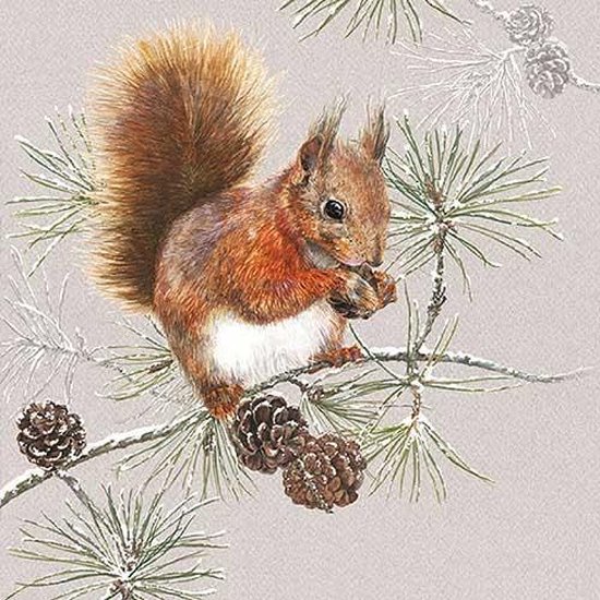 Foto: Ambiente squirrel in winter papieren servetten