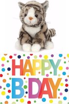 Coffret cadeau peluche chat / chat gris 16 cm avec grand format A5 carte de voeux Happy anniversaire