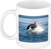 Dieren foto mok orka - orka vissen beker wit 300 ml