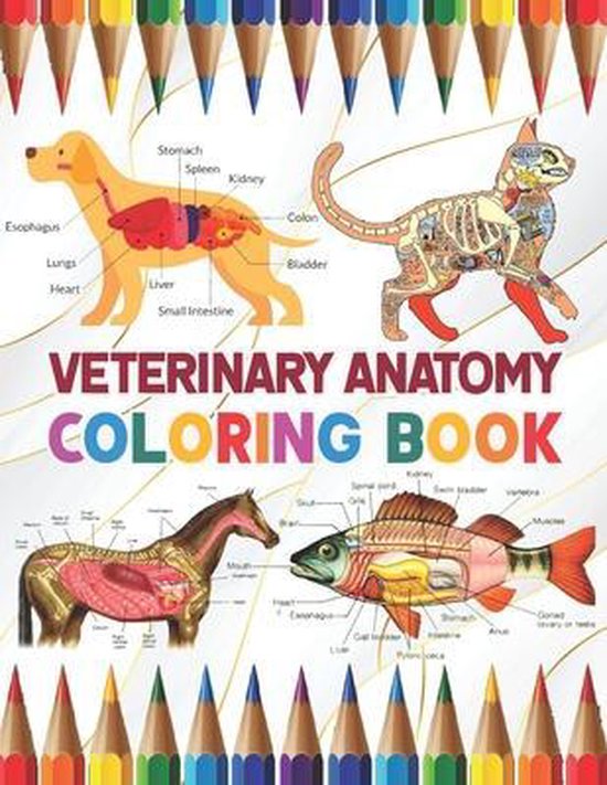 Veterinary Anatomy Coloring Book 9798582719274 Derkaylone