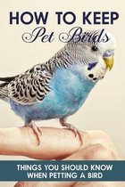 How To Keep Pet Birds Things You Should Know When Petting A Bird