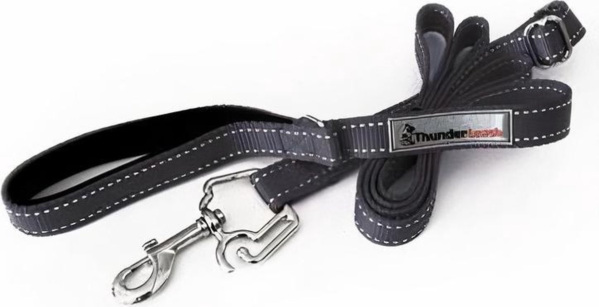 Hondenriem anti-shock aanbieding bij Action