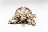 Kare Design Deco Turtle Gold Small